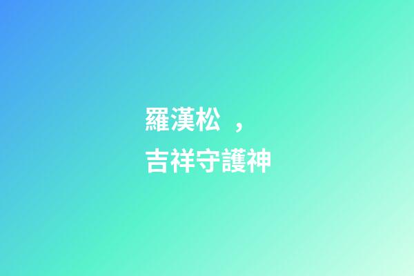羅漢松，吉祥守護神
